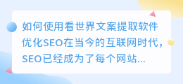 如何使用看世界文案提取软件优化SEO(看世界文案提取软件)