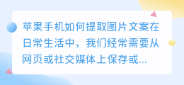 如何在苹果手机上提取图片和文案(苹果手机如何提取图片文案)