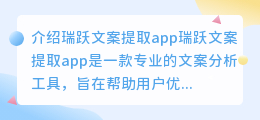 如何使用瑞跃文案提取app进行SEO优化？（瑞跃文案提取app）