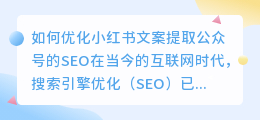 如何优化小红书文案提取公众号的SEO(小红书文案提取公众号)