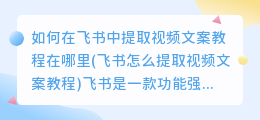 如何在飞书中提取视频文案教程在哪里(飞书怎么提取视频文案教程)