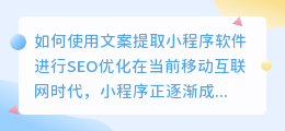 如何使用文案提取小程序软件进行SEO优化(文案提取 小程序的软件)