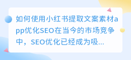 如何使用小红书提取文案素材app优化SEO(小红书提取文案素材app)