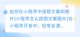 如何在小程序中提取文案和图片(小程序怎么提取文案图片)