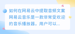 如何在网易云中提取音频文案(网易云怎么提取成音频文案)