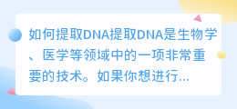 如何提取DNA(提取dna文案)