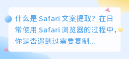 什么是 Safari 文案提取(safari 文案提取)