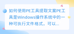 如何使用PE工具提取文案(pe提取文案)