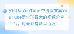 如何从 YouTube 中提取文案(youtube 提取文案)