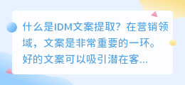 什么是idm文案提取(idm文案提取)